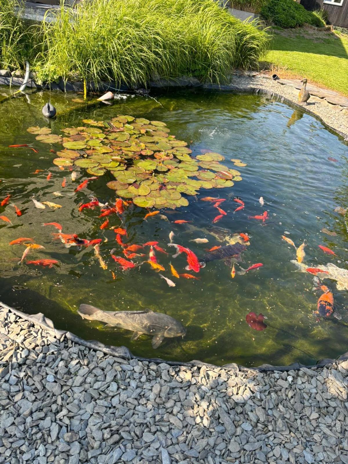 Le Clos Des Bansions Jalhay Bagian luar foto